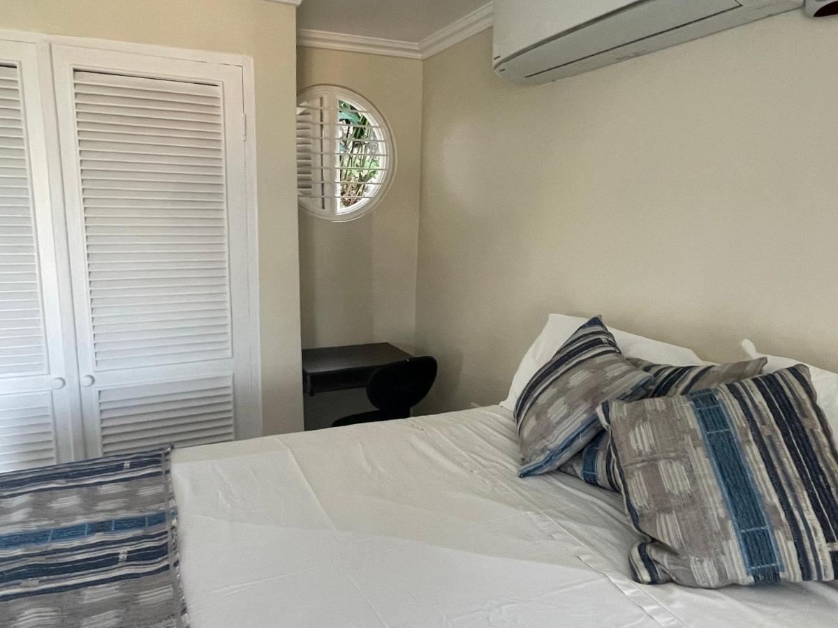 Hummingbird Retreat - Luxury Oceanview Apt, 7-Minute Walk To Beach Ocho Rios Buitenkant foto