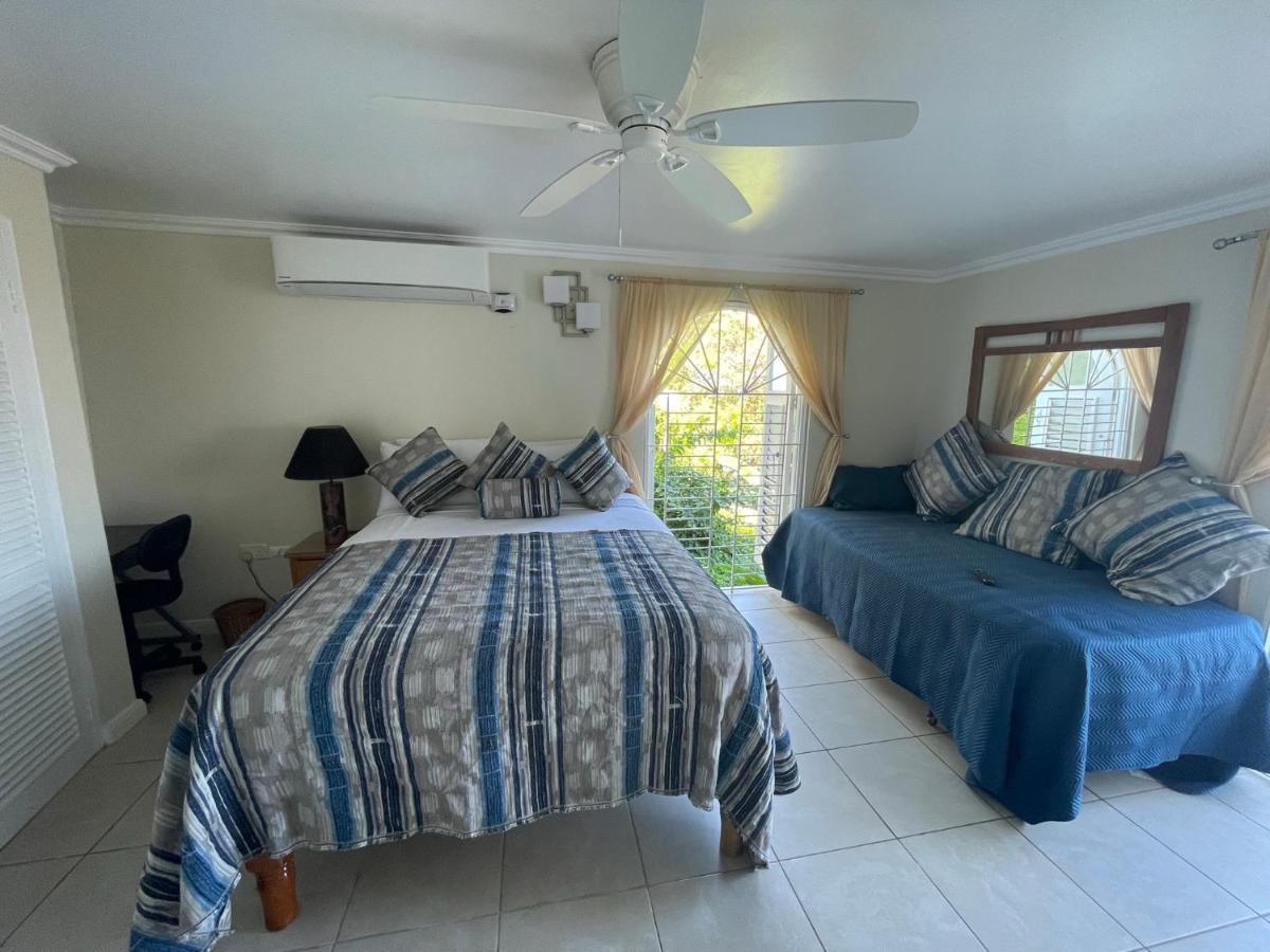Hummingbird Retreat - Luxury Oceanview Apt, 7-Minute Walk To Beach Ocho Rios Buitenkant foto
